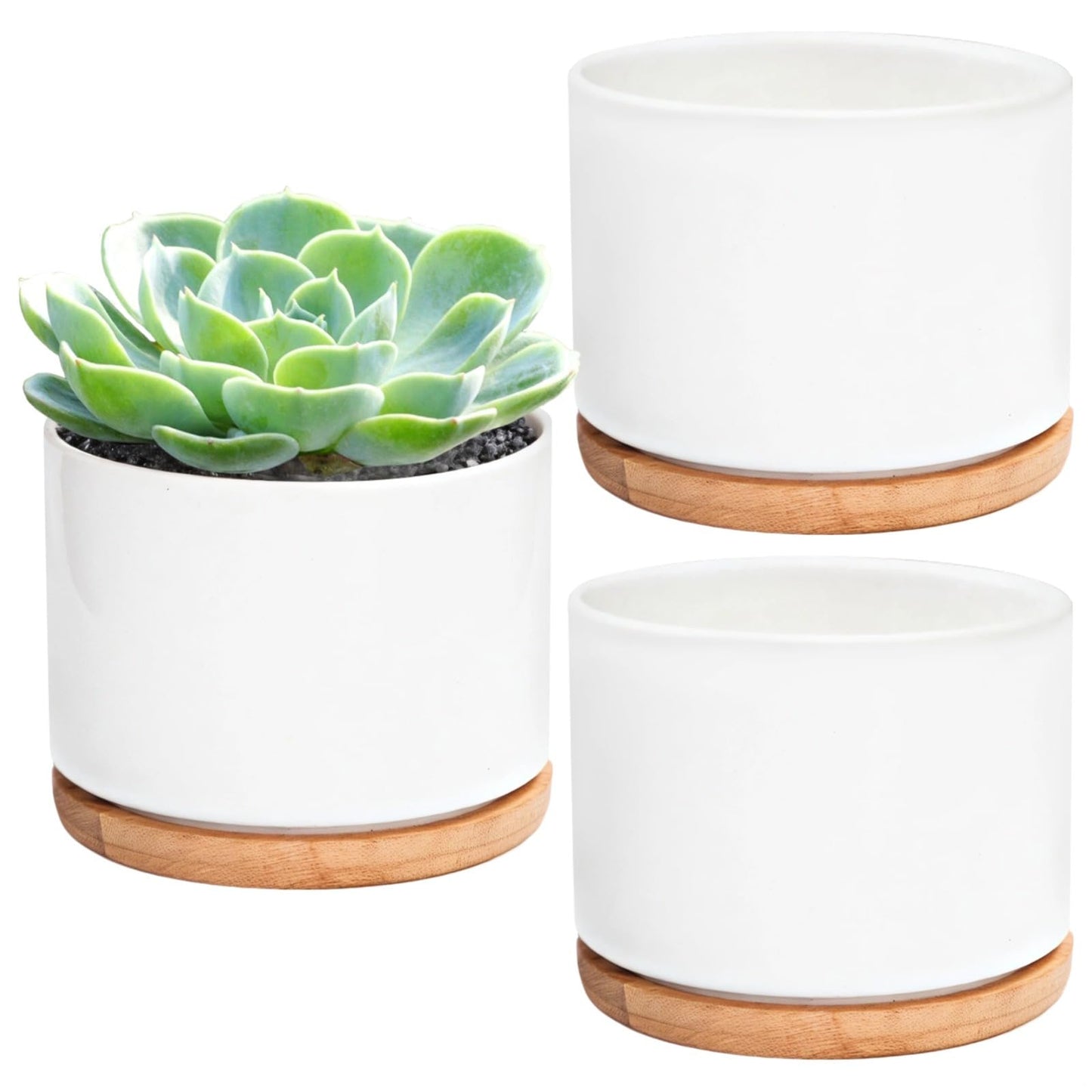 Set of 3 White Ceramic Pots for Succulents with Bamboo Trays for Home Decoration