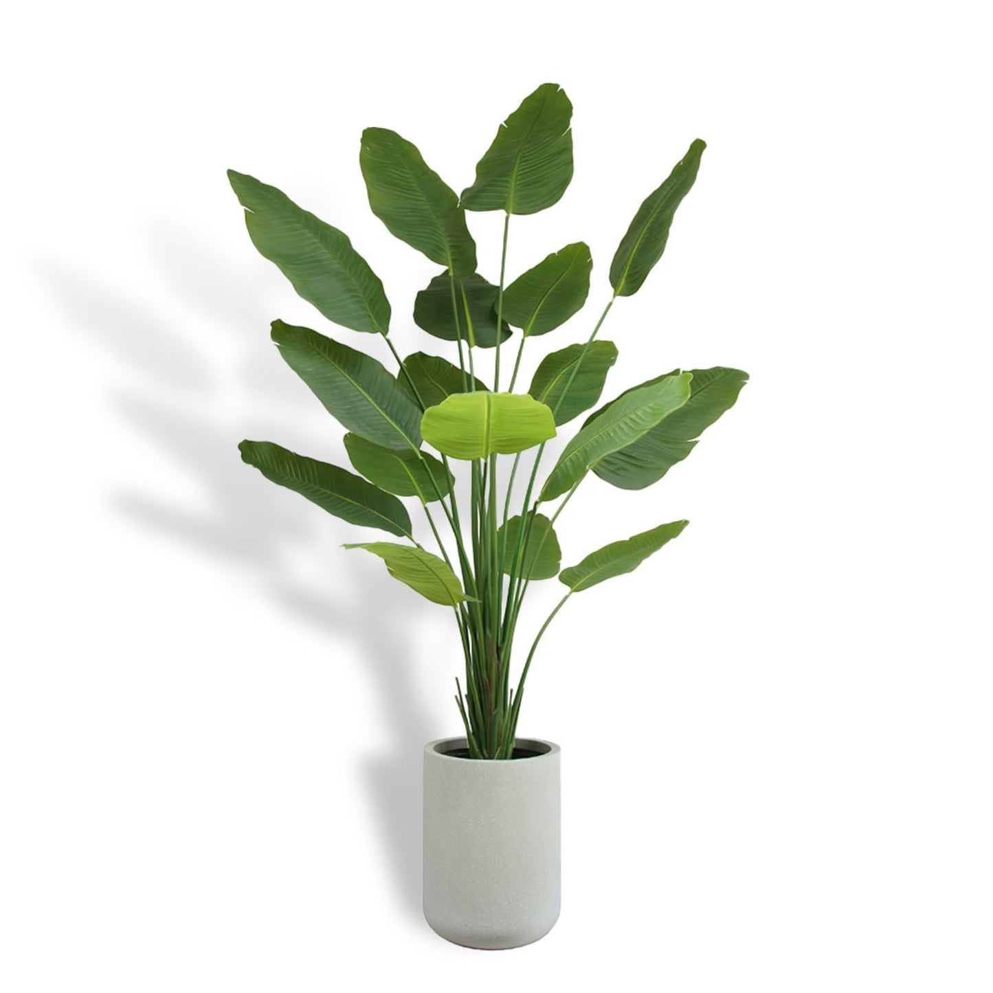 CG Hunter Faux Birds of Paradise Plant, Premium Artificial Indoor Plant Stands 8' Tall and Enhances Interior Design, Lifelike-Leaves Create Realistic Natural Appearance, Grey Planter Pot Included