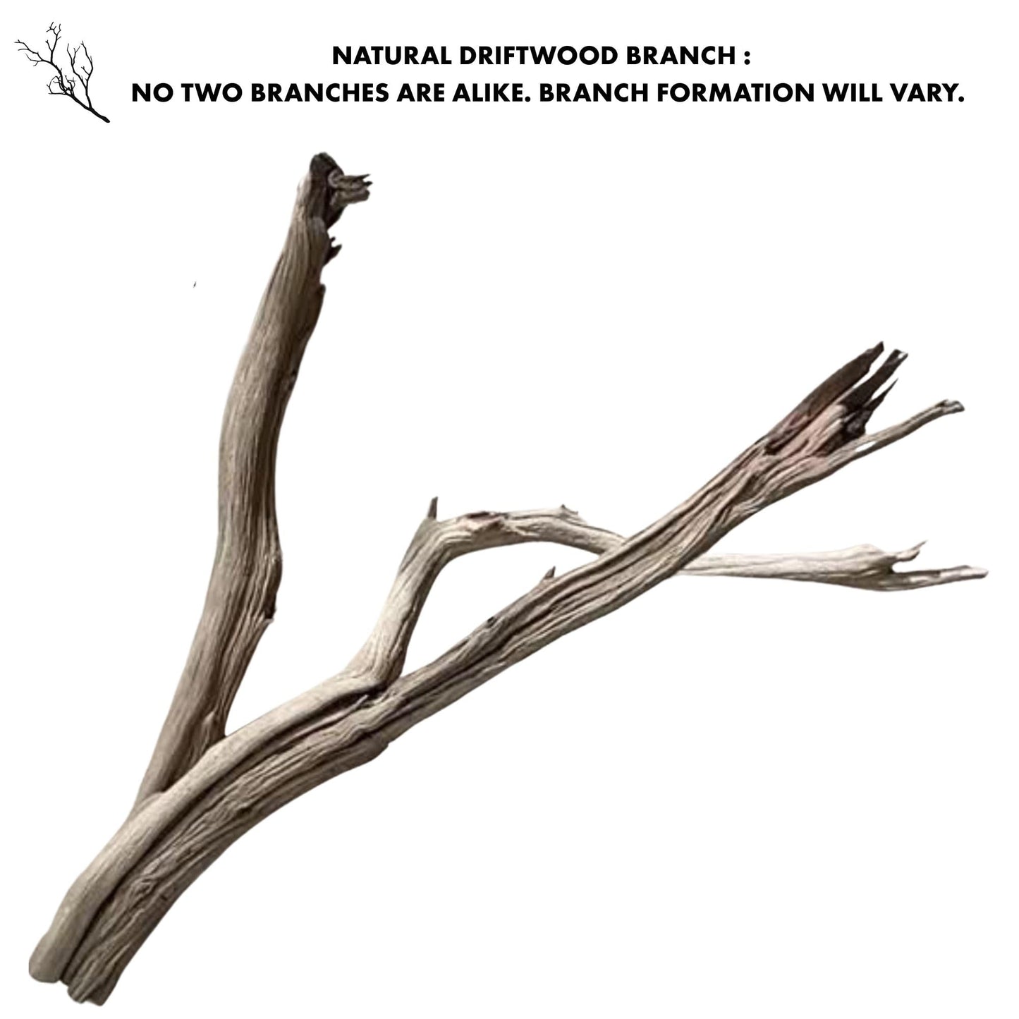 Koyal Wholesale California Driftwood with Natural Brown Branches, 36-Inch Large Driftwood Decor