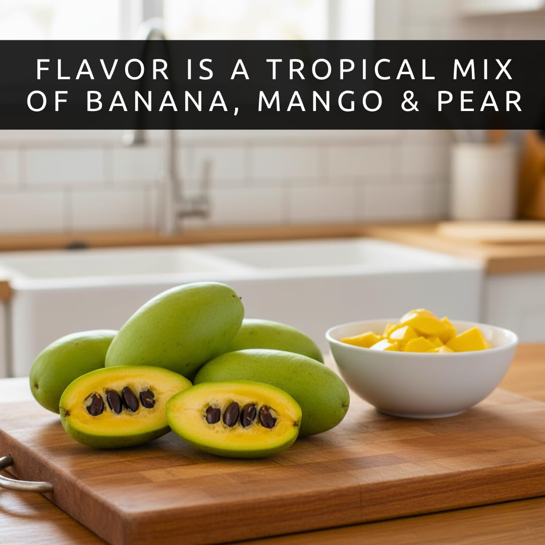 Pawpaw Seeds for Planting – Grow Your Own Pawpaw Tree – Non-GMO Asimina Triloba Seeds for Home Garden, Backyard Orchard, and Outdoor Planting - Paw Paw, North American Banana (15 Seeds)