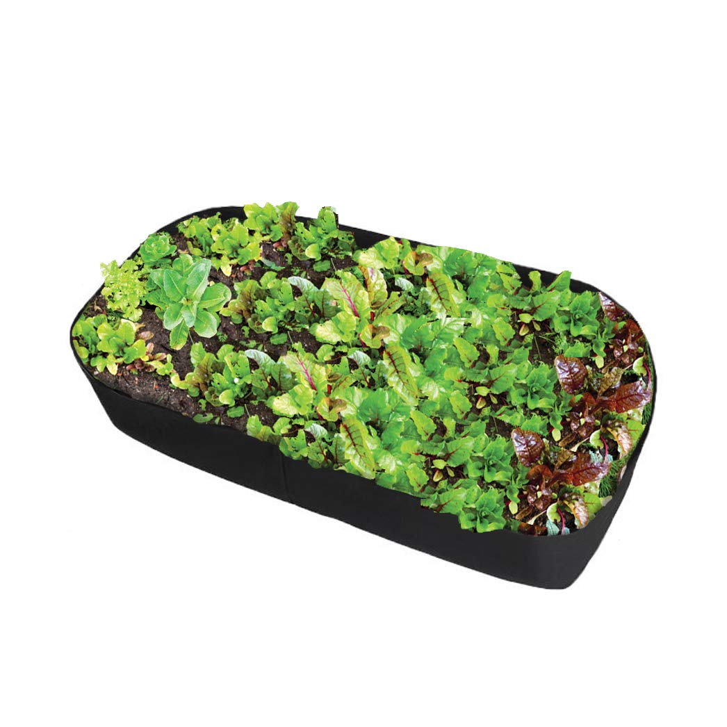 Feitore Fabric Raised Garden Bed, 2ft x 4ft Garden Grow Bags Planting Bed Rectangle Garden Containers for Vegetables Plants Flowers Outdoor