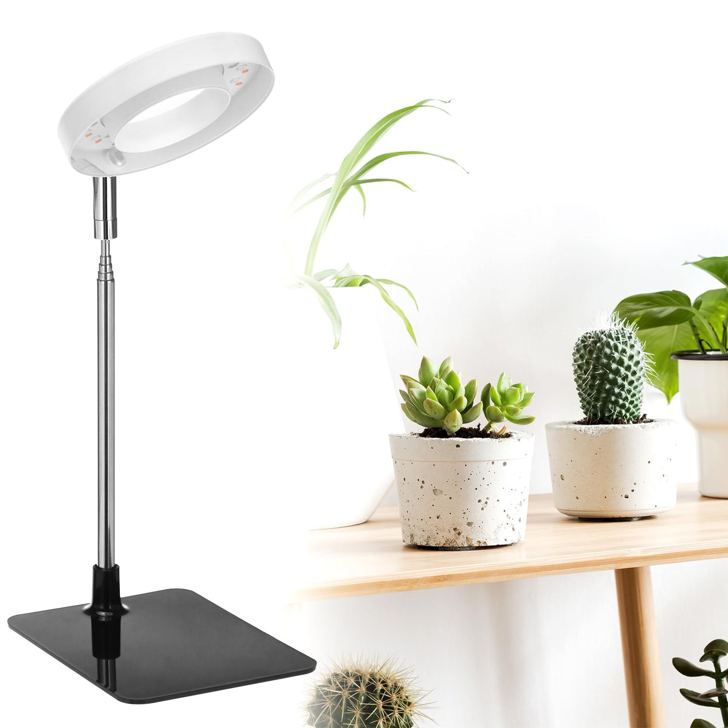 QWORK Grow Lights for Indoor Plants, 3 Pack Full Spectrum LED Desk Grow Lamp, 7-25 in Adjustable Height, Auto Timer 2/4/8H, 4 Dimmable Levels, USB Powered