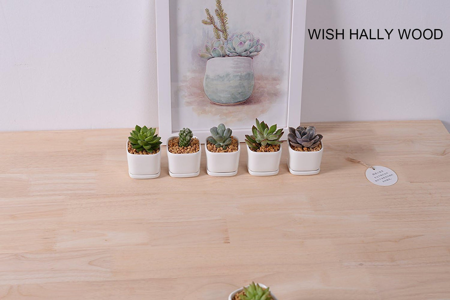 WISH HALLY WOOD Mini 6 Set of 2x2x1.65inch Square Modern Minimalist White Ceramic Succulent mini Planter Pot/Window Box with Saucer (6, 2inch)