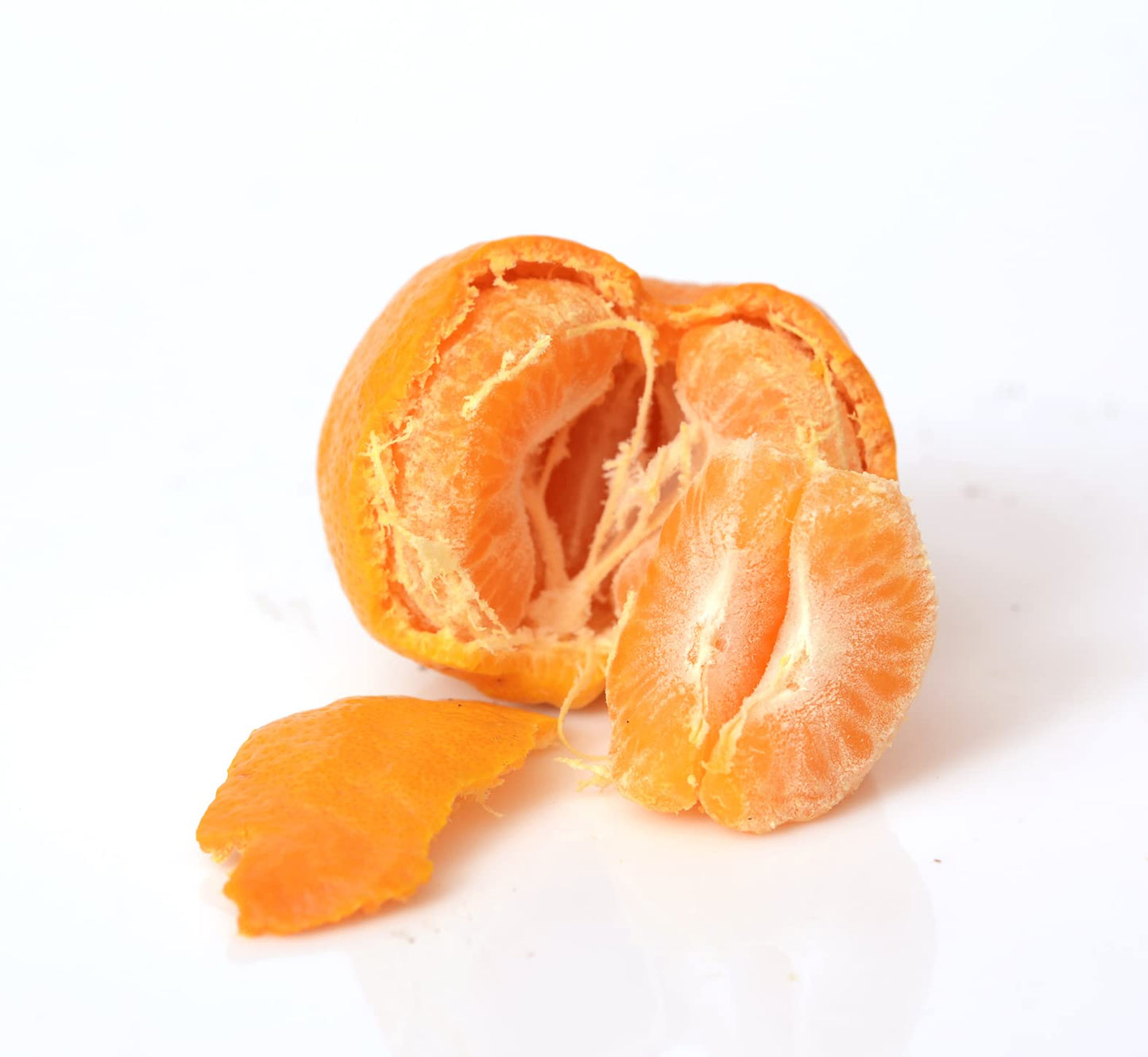 Gerald Winters and Son Satsuma Mandarin Tree - Pot of 2 Starter Plants. Citrus unshiu. 3'' - 5'', Orange