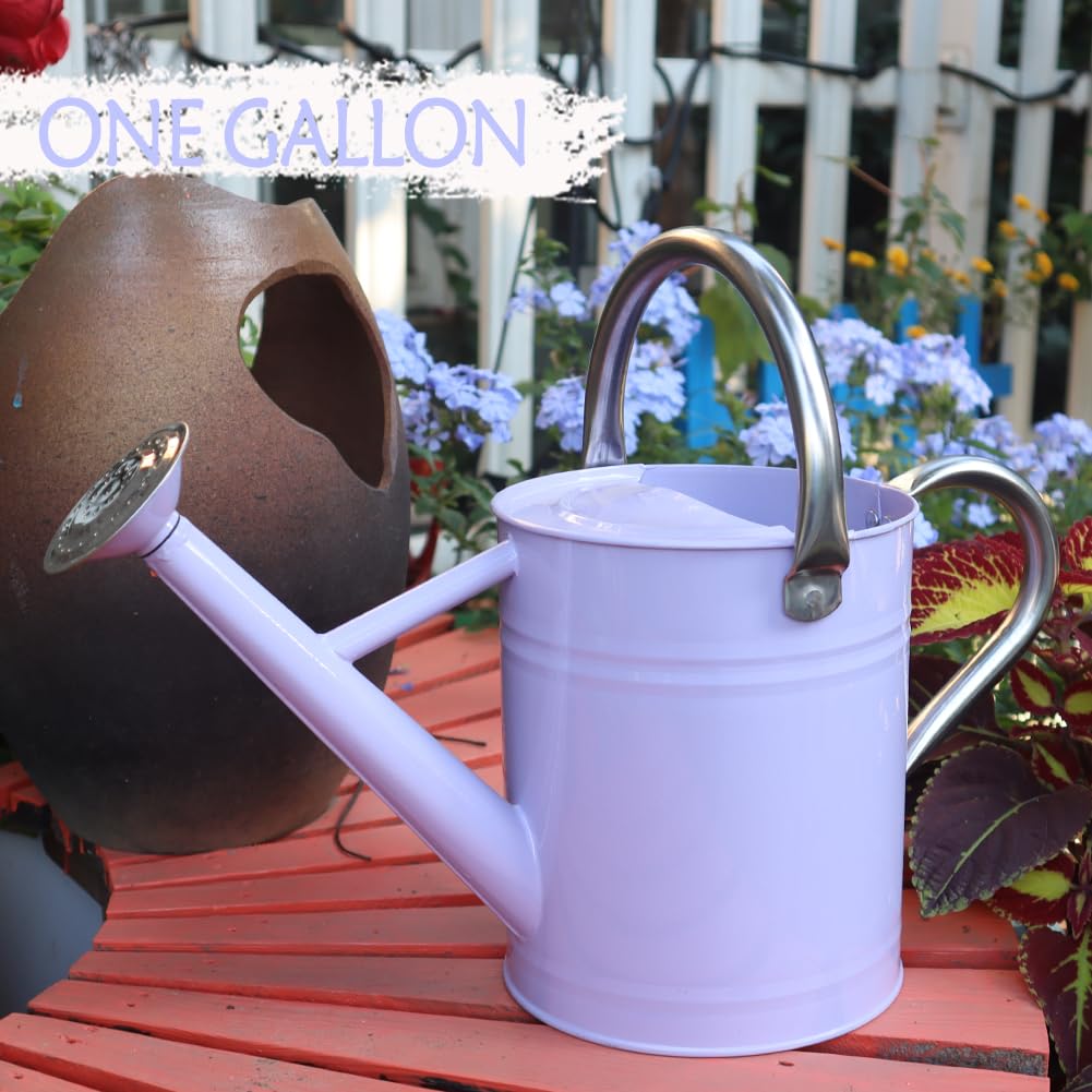yourjoy Metal Watering Can, One Gallon Watering Cans Stainless Steel for Outdoor Indoor Garden Plants Watering (Stainless Steel Handle Purple)