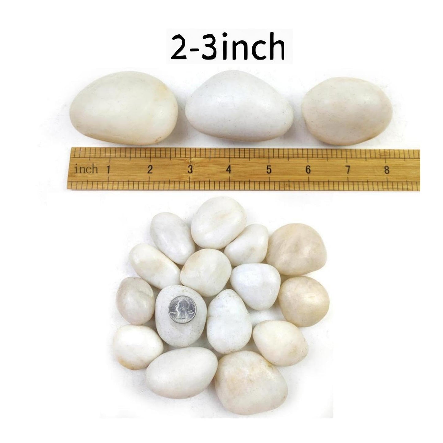 SHIZWU 5LB White River Rocks - 2-3 inch High Polished Decorative Pebbles, Stones for Landscaping, Natural River Rocks for Outdoor Décor, Plants,Vase Filler,Fish Tank