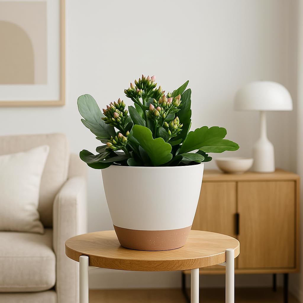 TYMENSH Plant Pots 12/10/9 inch Set of 3, Self Watering Flower Pots Indoor Outdoor, Planters with Drainage Hole Saucer Reservoir, White