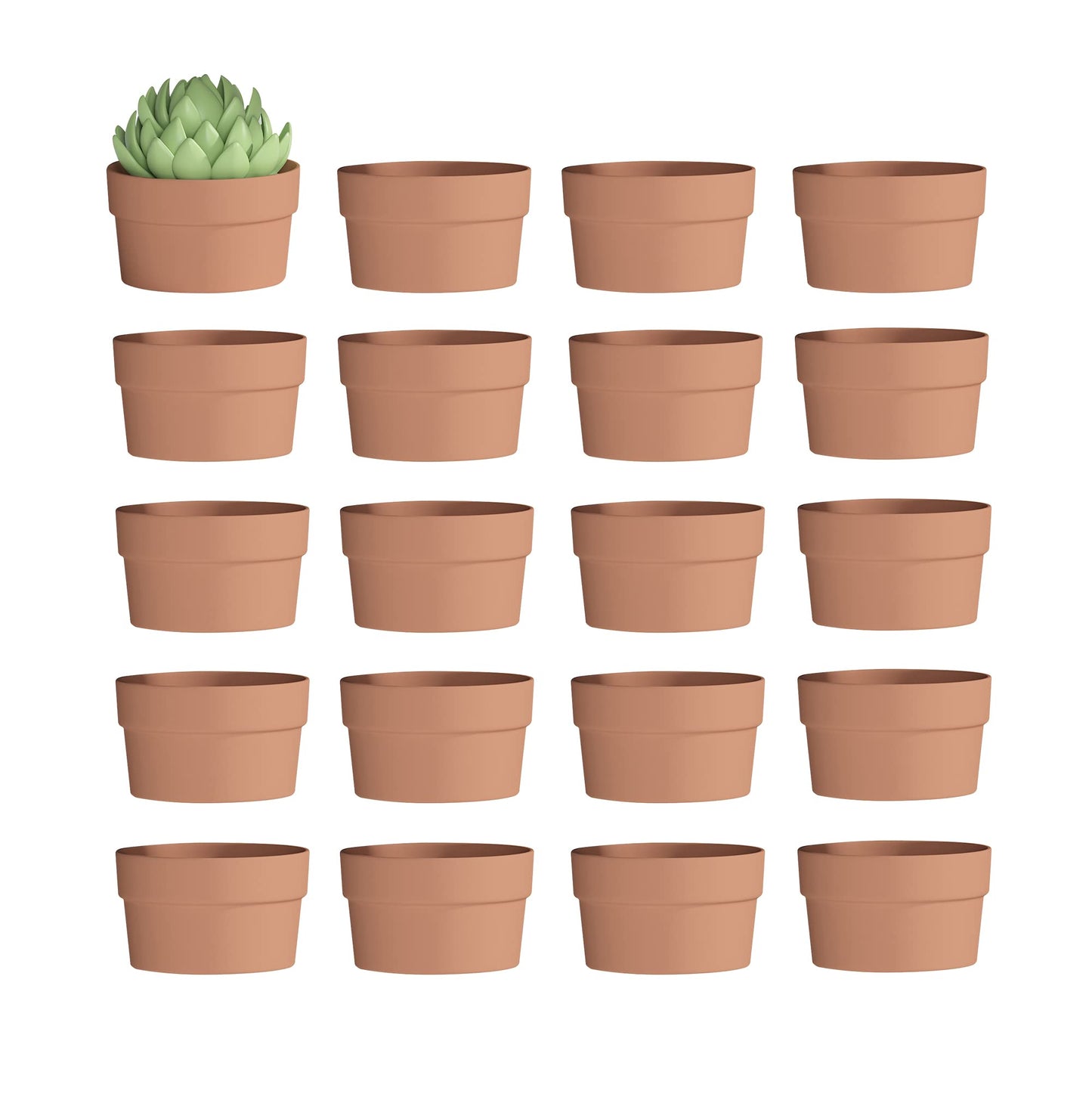 Fcacti 3.5 Inch Terracotta Shallow Succulent Pot - 20 Pack Small Terra Cotta Clay Pots with Drainage, Cacuts Terra-Cotta Indoor and Outdoor Planters with Drainage Hole