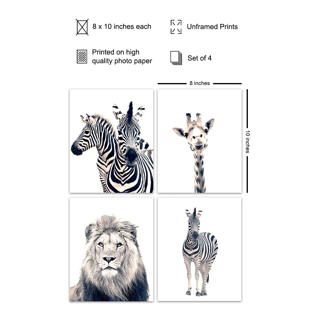 Black and White Photography African Animals Art Print Set, Wall Art Posters - Unique Contemporary Decor for Home or Office - Great Inexpensive Housewarming Gift for Nature Lovers, 8x10 Photos Unframed