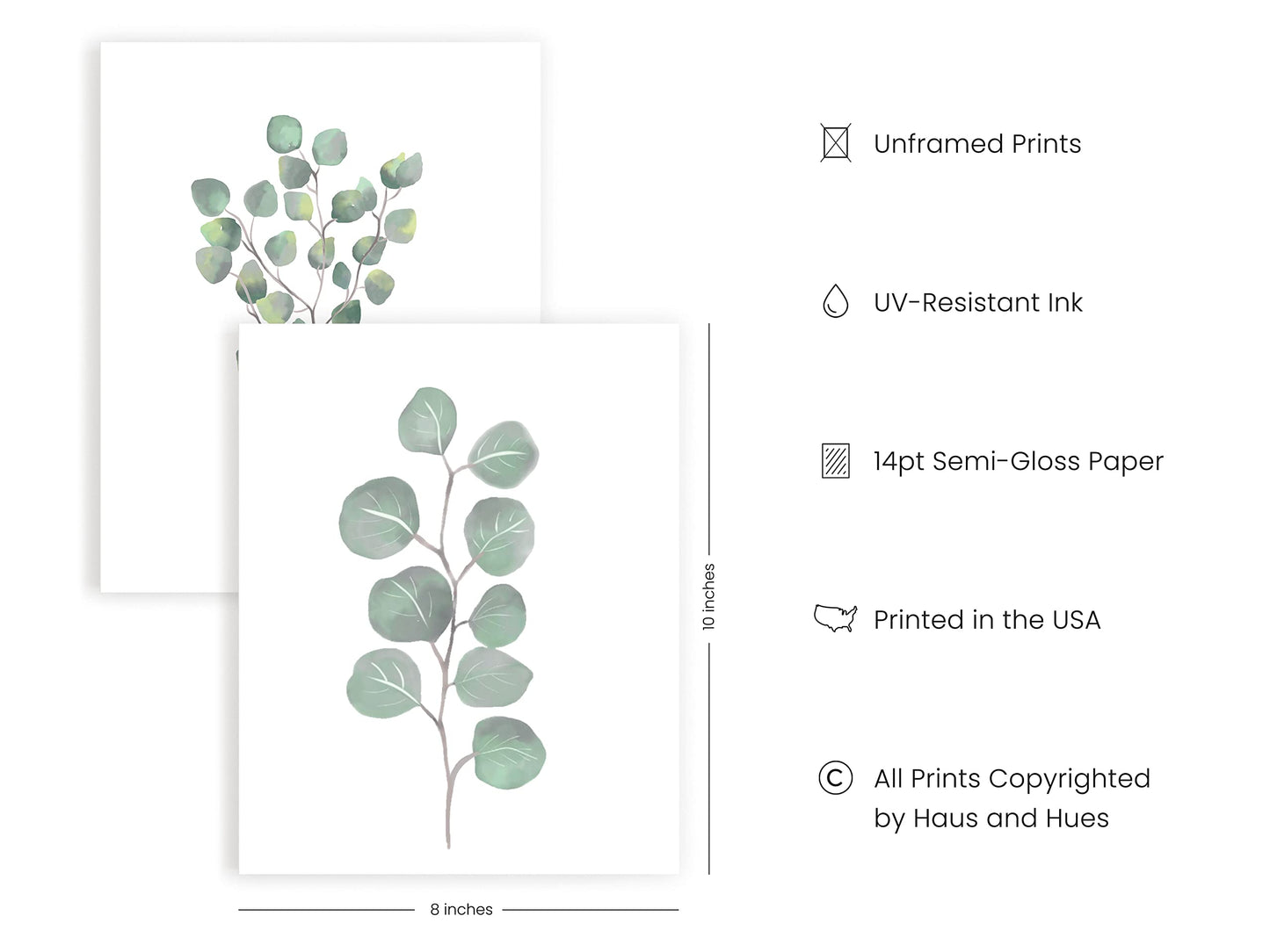 HAUS AND HUES Leaf Prints Botanical Wall Art Set of 6 Nature Art Prints & Eucalyptus Leaves Wall Decor | Botanical Prints Eucalyptus Wall Art Plant Decor | Unframed, 8" x 10"