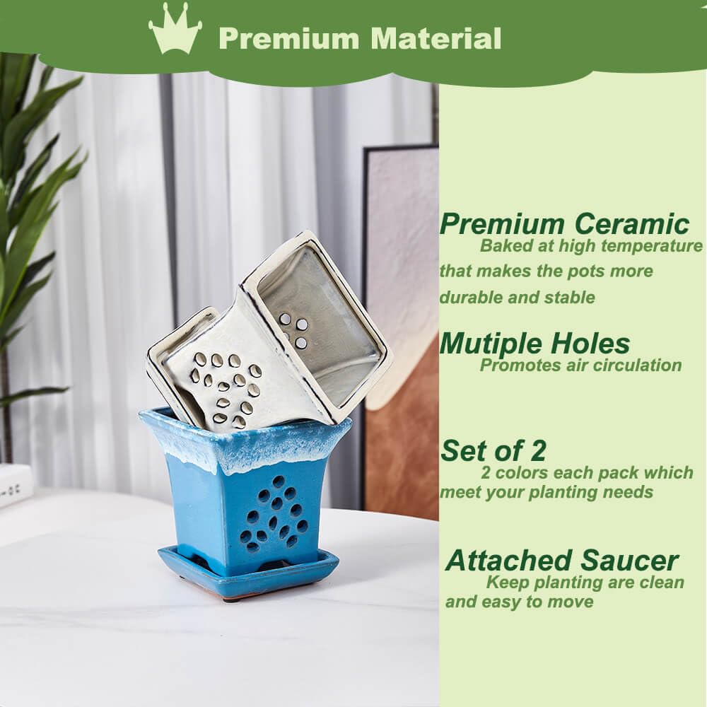 Ceramic Orchid Pots with Holes attached Saucers 4.8 Inches - Set of 2 Small Square Orchid Pots for Repotting, Decorative Ceramic Orchid Planter with Hole for Healthy Root Growth Blue White Mixed