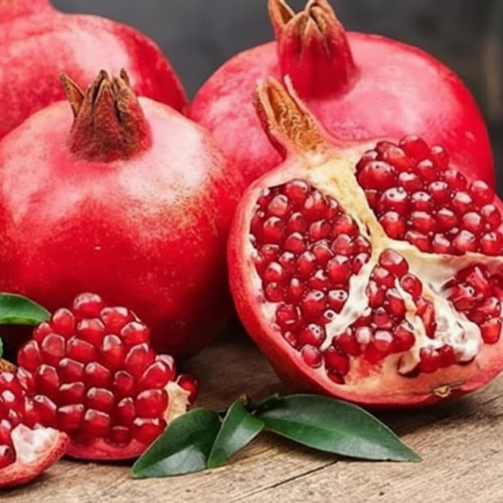 Pomegranate Tree Live Plant in 1 Gal Pot, Live Sweet Pomegranate Plants, 1-2 Feet Tall, Sweet Fruit Tree, Fast-Growing and High Yielding, No to CA