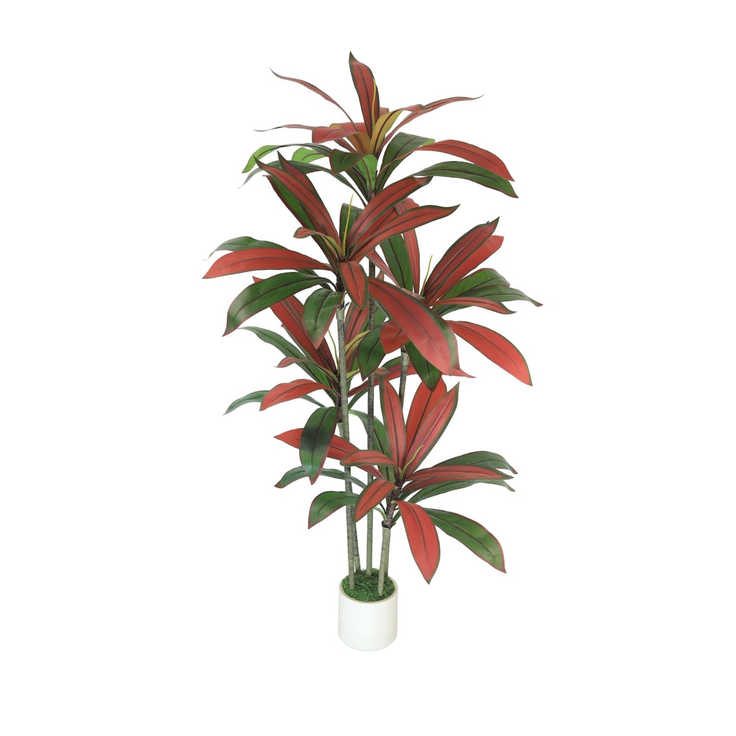 5FT Artificial Dracaena Tree Red: Compact Faux Plant for Apartments, Realistic Greenery in White Planter, Easy-Clean Silk Tree for Small Space, Balcony, Office Gaoqisi
