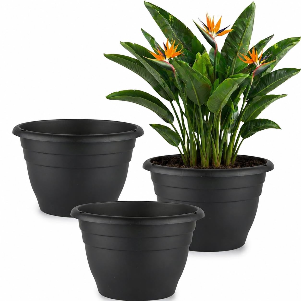 RooTrimmer 3 Pack 11 Inch Plant Pots for Indoor Outdoor,Plastic Floor Planters with Drainage Holes,Lightweight Durable Flower Pots for Home,Patio & Garden(Black)