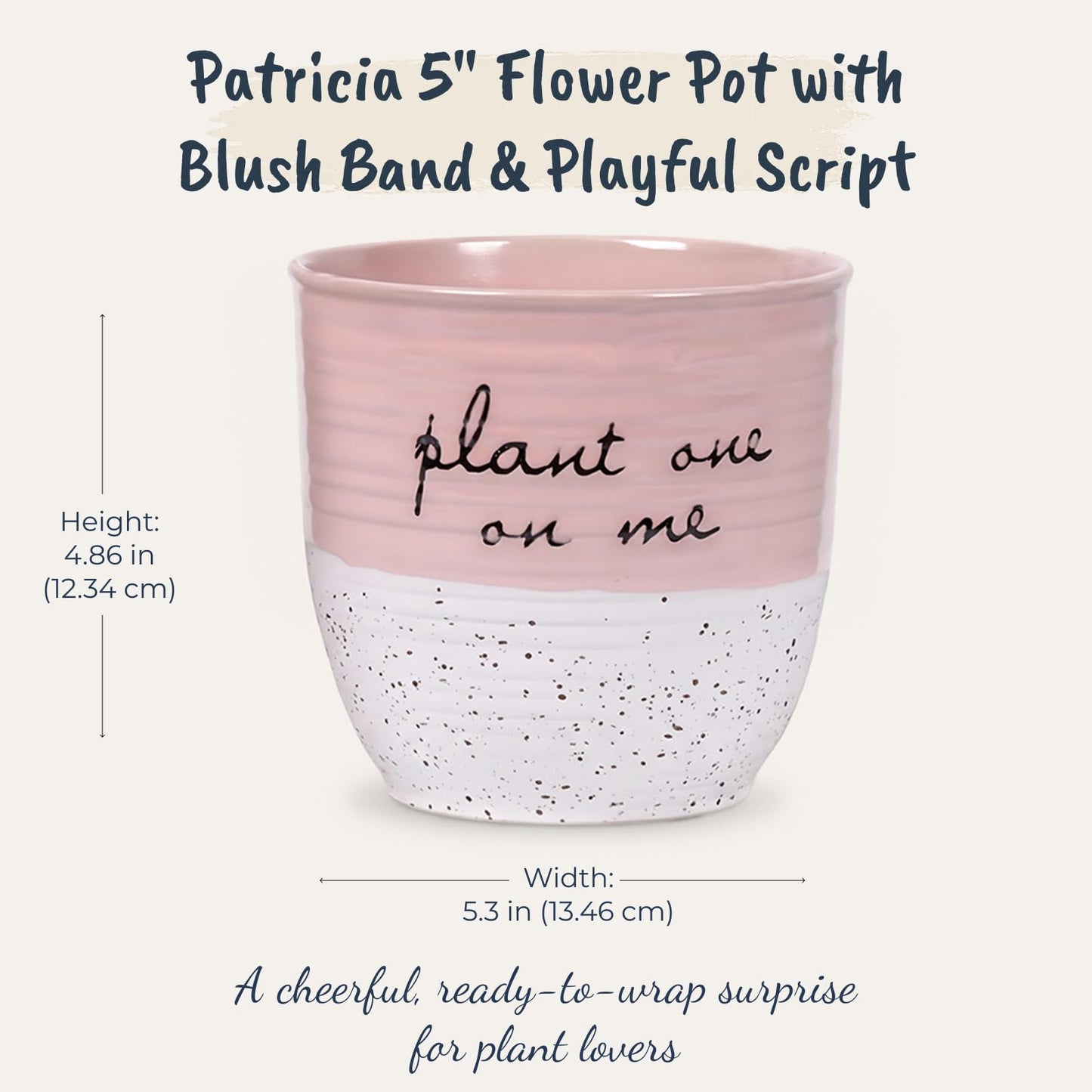 Blue Sky Clayworks Patricia 5" Flower Pot, Ceramic, 6" D x 5" H, Blush Script & Speckles