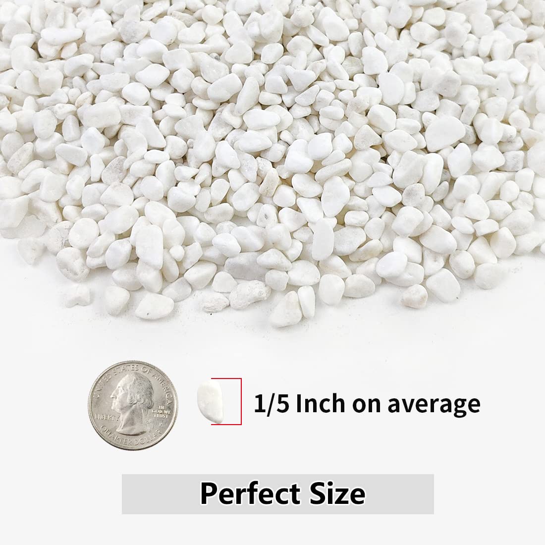 YISZM 5LB Succulent and Cactus Gravel Pebbles, 1/5 Inch White Natural Decorative Polished Stones, River Rocks for Plants, Vases, Aquariums, Terrarium and Outdoor Gardening