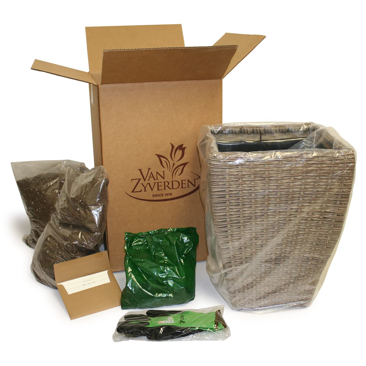 VAN ZYVERDEN Bleeding Heart Patio Kit with Decorative Ratten Planter, Planting Medium and 1 Root, Pink