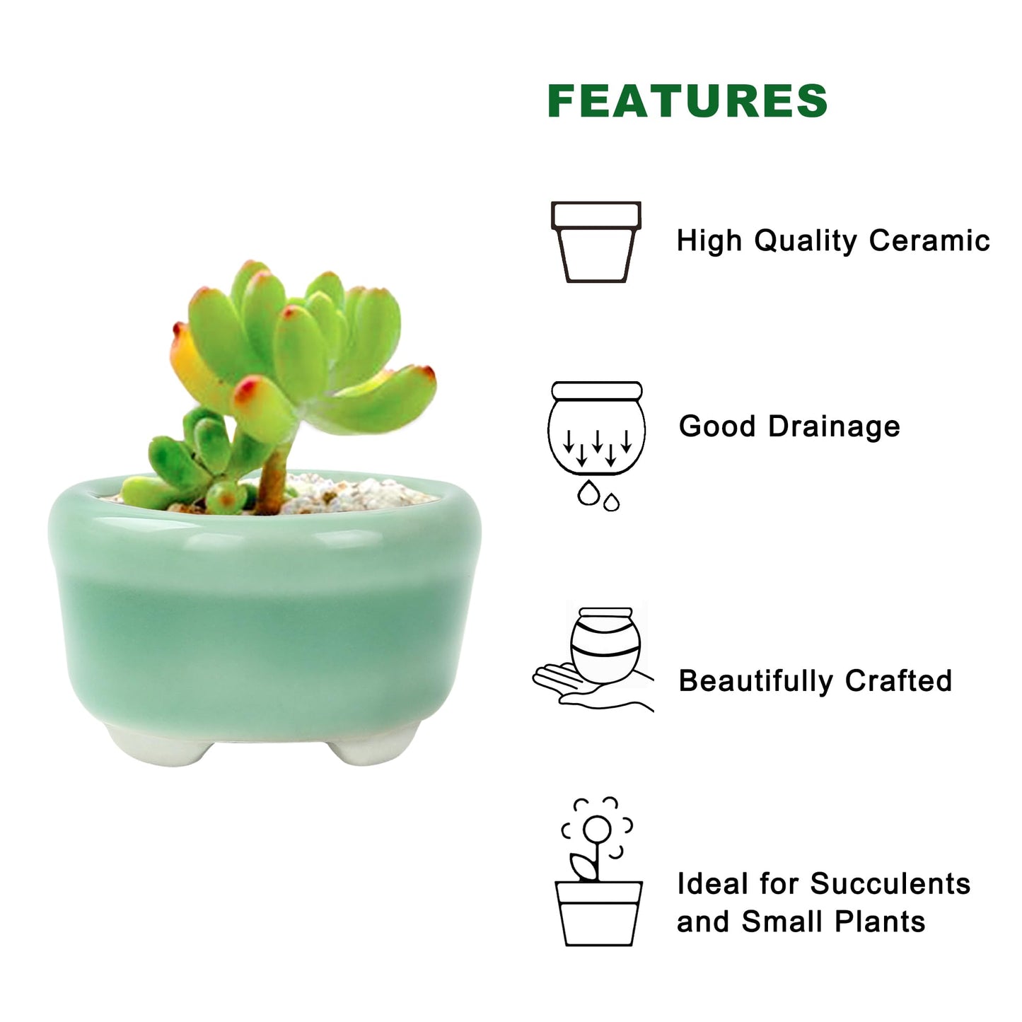 Bonsai Planter 1.8 inch (4.5cm) Mini Succulent Glazed Pots Set of 6 Green