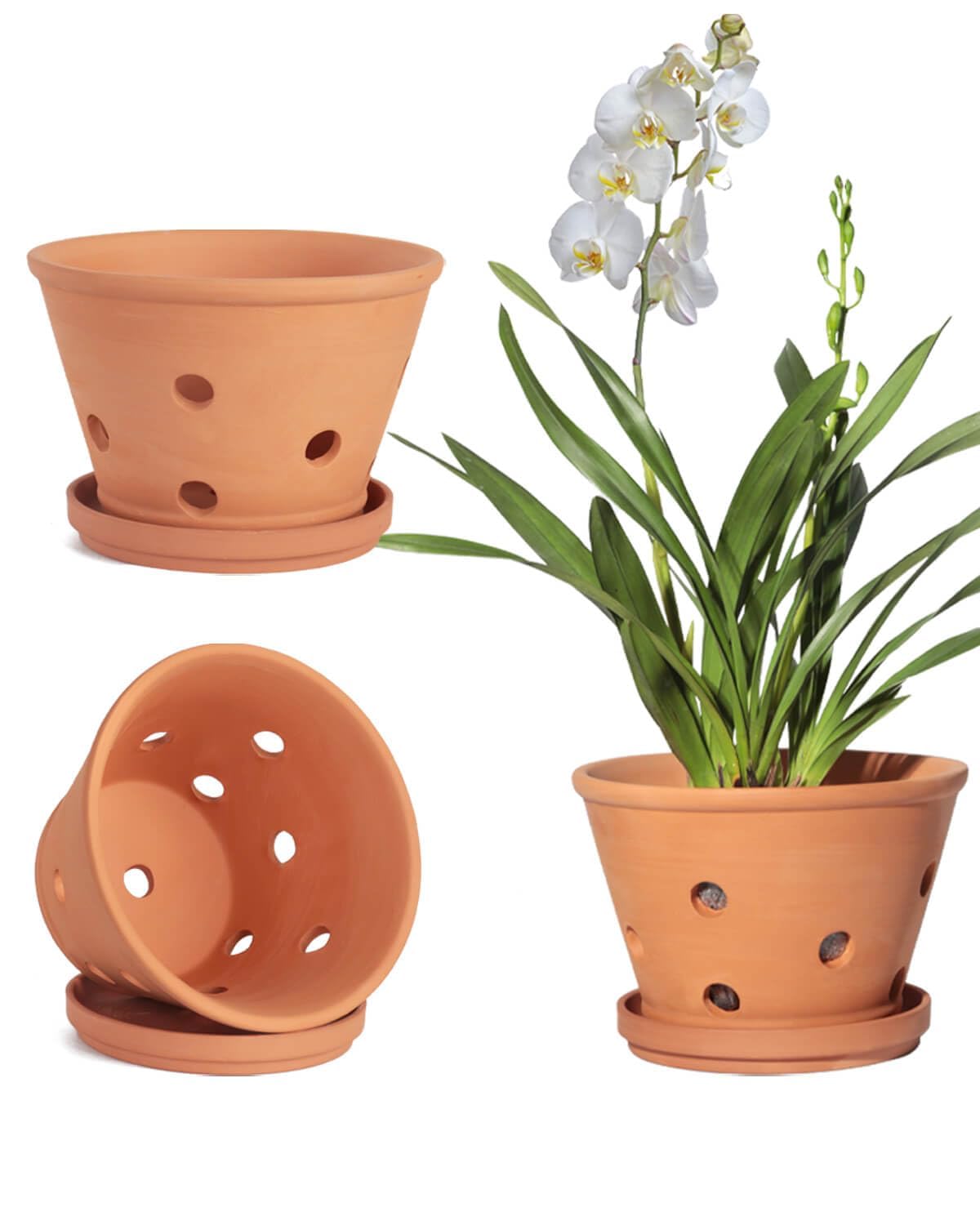 vensovo Terracotta Orchid Pots with Holes and Saucers - Clay Orchid Planter Pots for Repotting, Plant Flower Pots for Orchid Indoor and Outdoor Promotes Air Circulation
