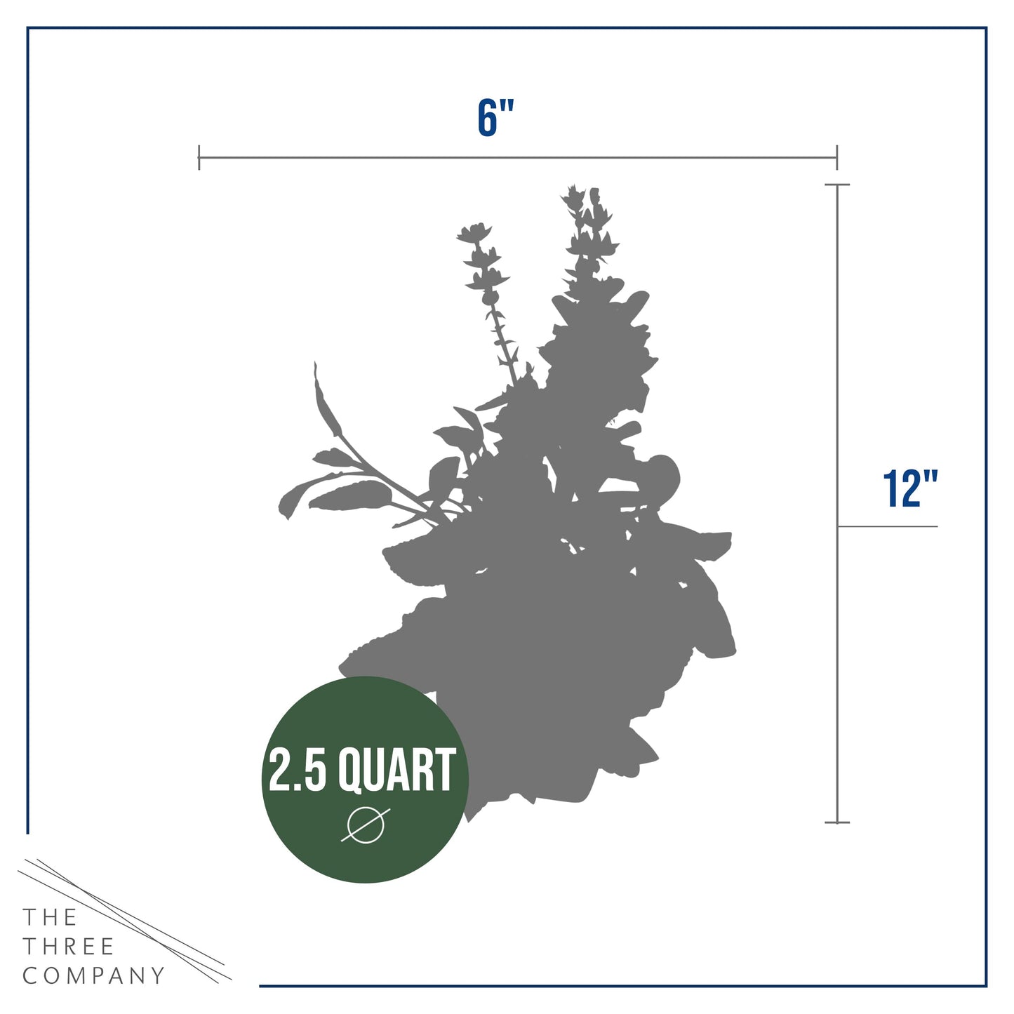 Live Salvia - Pink - Beautiful Upright Perennial - Healthy Spring Plant - 12" Tall by 6" Wide in 2.5 Qt Pot