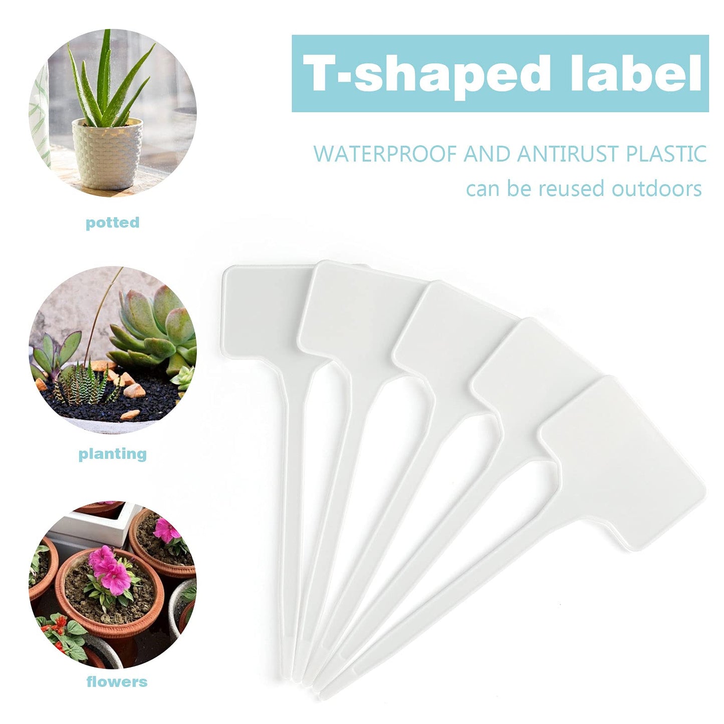 KINGLAKE GARDEN Large Plastic Plant Labels 6 Inch 50 Pack White Sturdy Extra Large T-Style Plastic Plant Labels for Flower beds,Plant pots