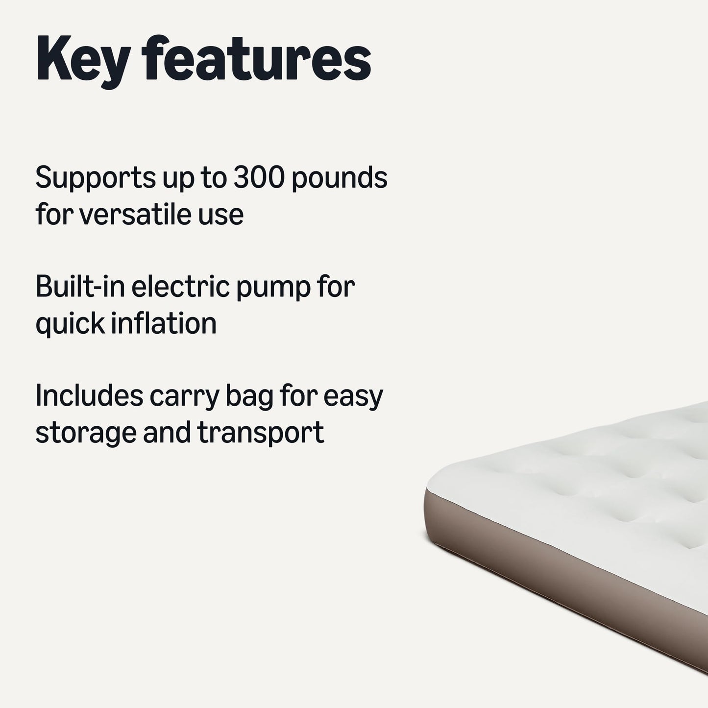 Amazon Basics Inflatable Air Mattress Twin with Built-in Pump