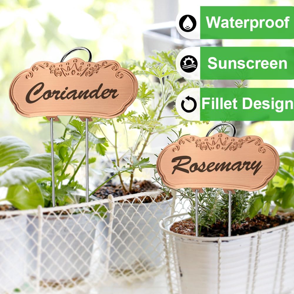 TCYPUHL Metal Plant Labels,Tall Outdoor Garden Markers for Flower, Fruit and Vegetable, 304 Stainless Steel Weatherproof Signs (25 Packs, 4" x 1.9", Gold)