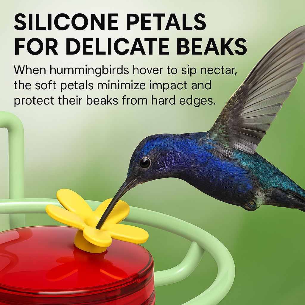 Dreamdrawer Window Hummingbird Feeder, Small Hummingbird Feeder for Outdoors with Strong Suction Cup - Metal Base & 6 Feeding Ports, Easy to Clean and Refill