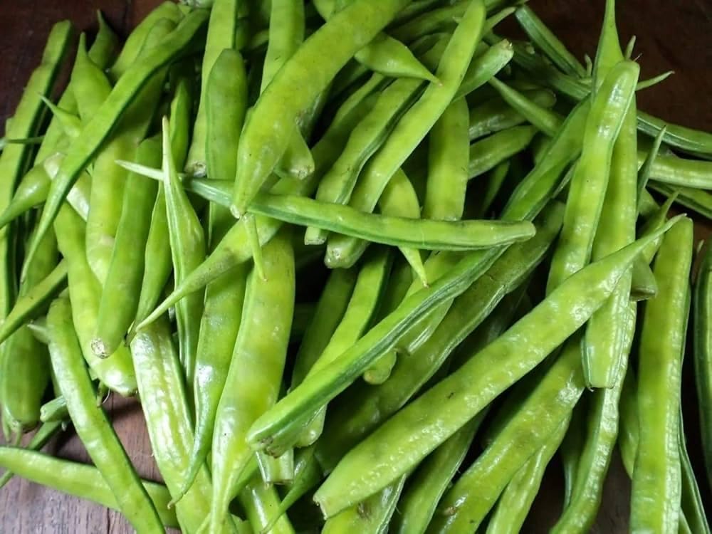 100+ Pcs Indian Cluster Bean Seeds, Non-GMO Vegetable Seeds for Planting, High Germination Guar Seeds for Home Garden, Backyard, Outdoor Grow Bags or Pots