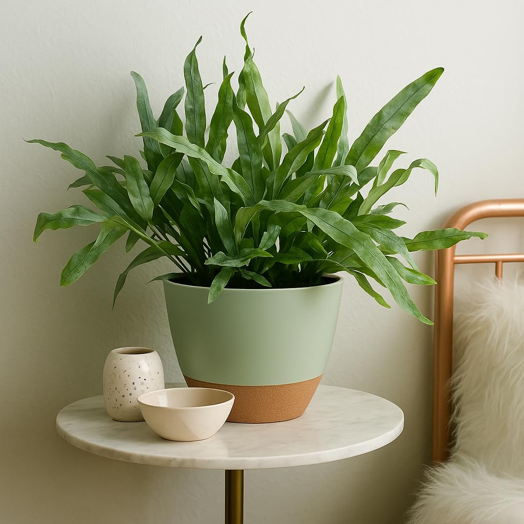 TYMENSH Plant Pots 12/10/9 inch Set of 3, Self Watering Flower Pots Indoor Outdoor, Planters with Drainage Hole Saucer Reservoir, Green