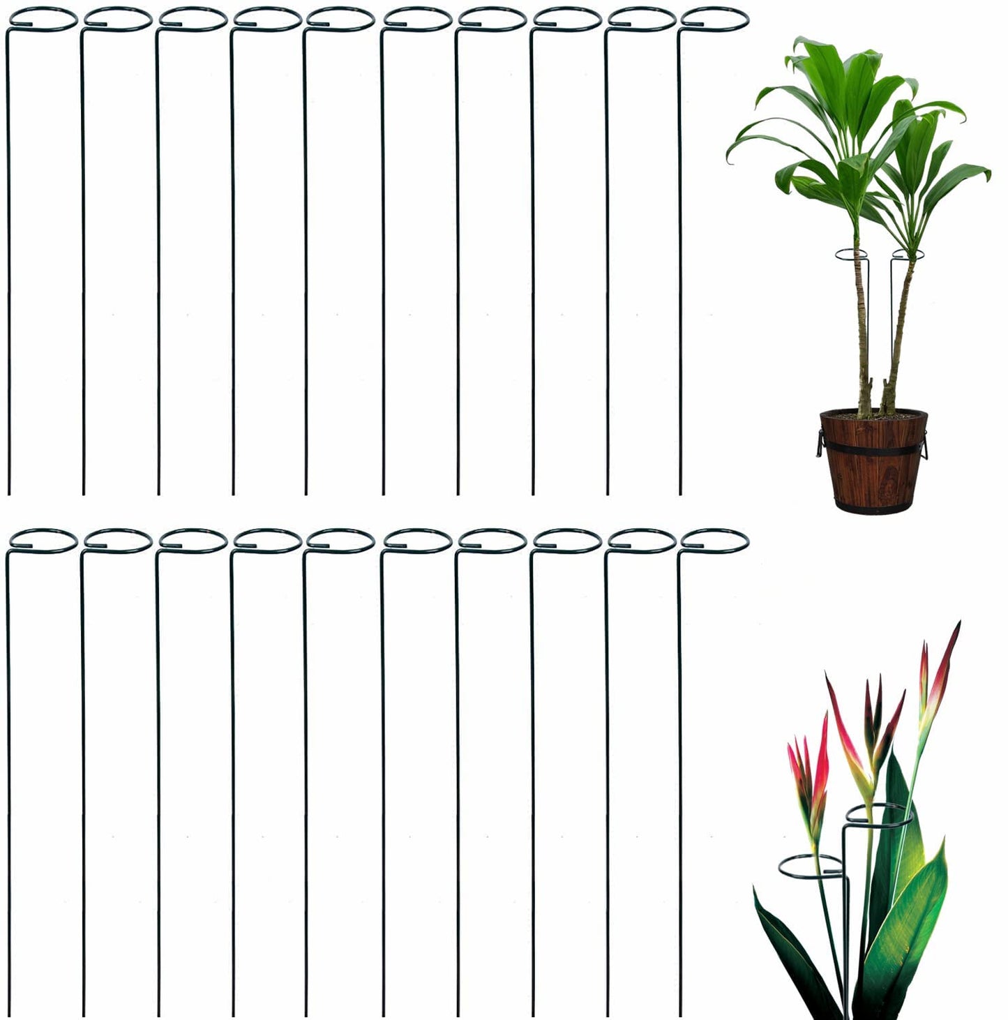 Tingyuan 24 Inches Single Stem Plant Support Stakes Steel Garden Stakes Plant Atem Support, Pack of 20