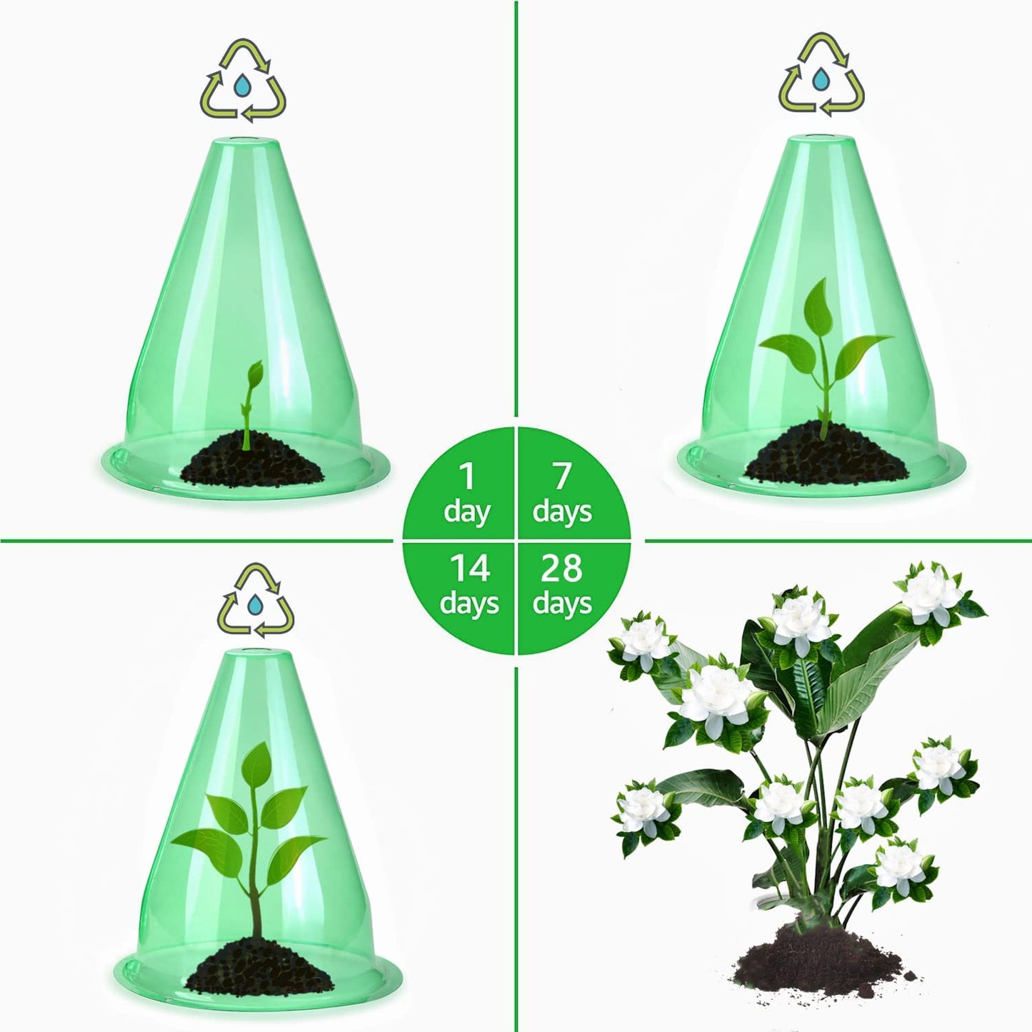 【24 Pieces】 Garden Cloches for Plants, Multifunctional Plant Cover Plant Protectors Transparent Bell Jar Cloches Protection Plants from Birds, Slugs, Frost, Freeze Weather, 7.8" D x 9.4" H, Green