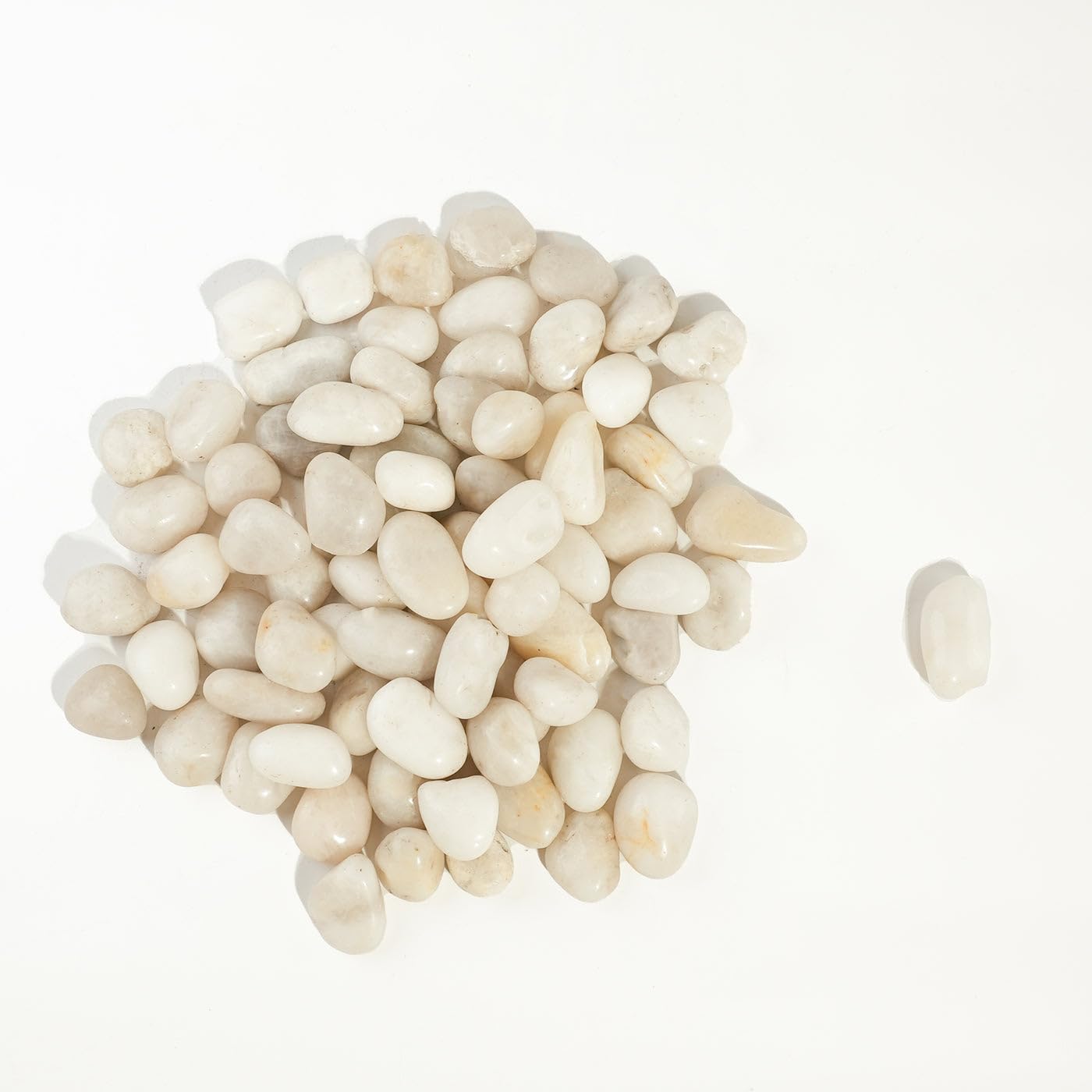 6 LBS River Rocks, StoneCreek, Decorative Garden Stones for Plant Landscaping, Polished Gravel Filler Pebbles for Home Decoration, Vases, Succulents, Flower Beds and Fish Tanks (White, Medium)