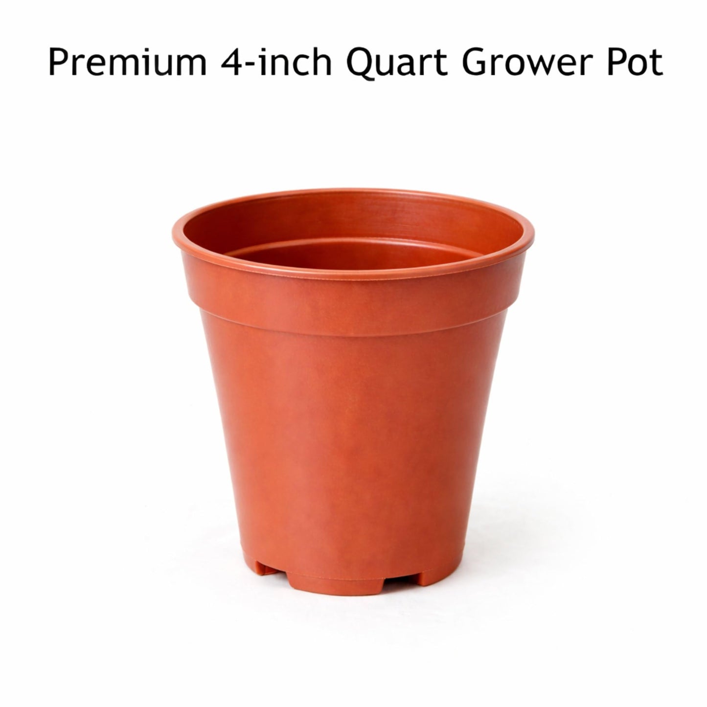 Easy to Grow Houseplants Mix Pack of 2 Full Size Potted Plants - Established & Rooted in 4" Quart Pots, Growers Assorted Mix of Air-Purifying Large Plants (Not Starter Plugs)
