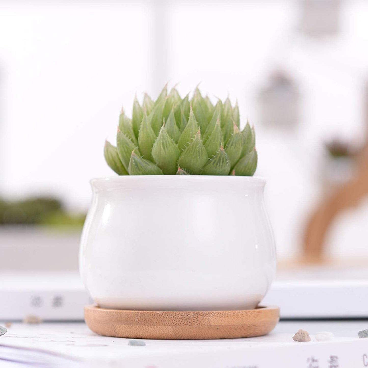 Brajttt Succluent Pots ，Small Flower Pots Planter Pots with Drinage,Ceramic Flowers Pots with Bamboo Tray for Cactus(12 Pack