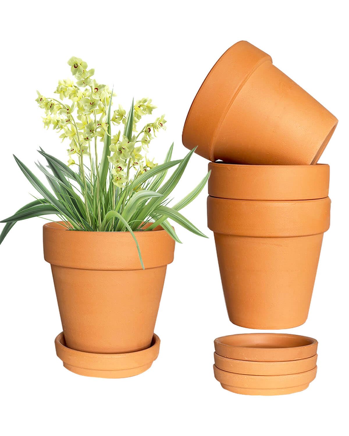 6 Inch Terracotta & Clay Plant Pots with Drainage Hole and Saucer- 4 Pack Medium Terra Cotta Pots for Indoor Outdoor Plants, Breathable Unglazed Classic Planter Pots for Succulents, Herbs, Flowers