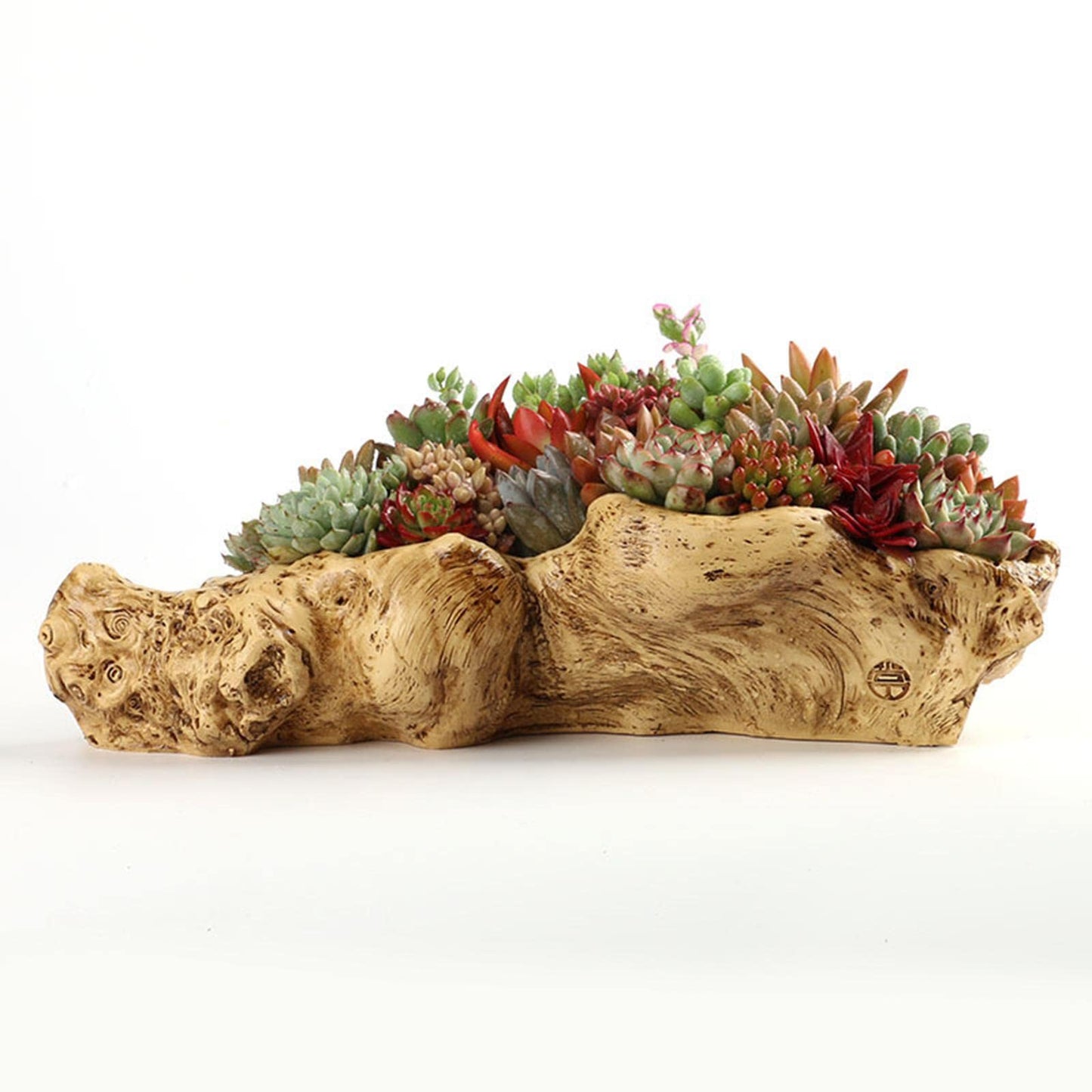 Holder in Driftwood for Indoor Decoration