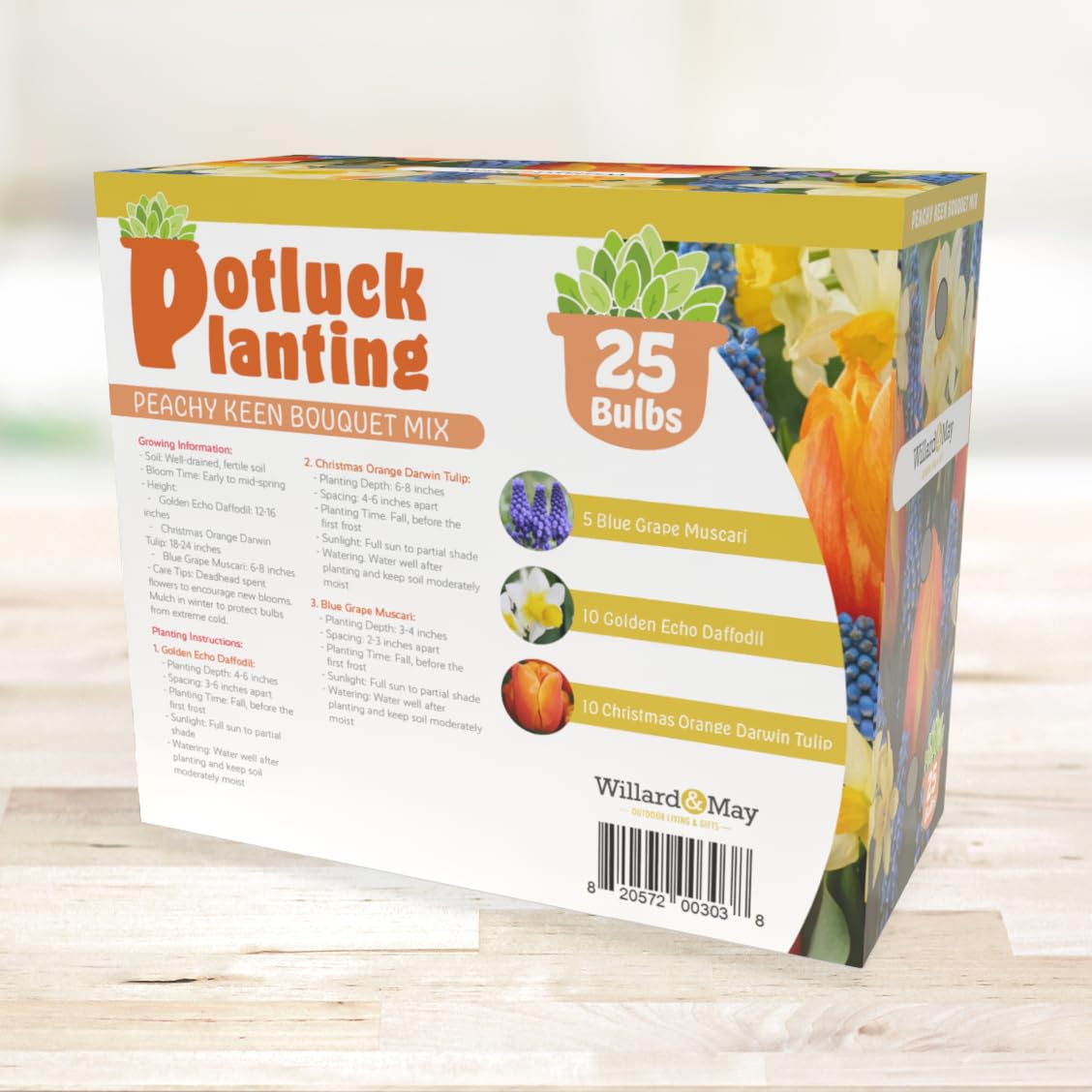 All-in-One Flower Garden Kit - 25 Flower Bulbs Per Box - Potluck Planting Peachy Keen Bouquet Mix - Daffodil, Tulip, Muscari - Fragrant - Naturalizing - Live Outdoor Garden - Easy to Plant Flowers