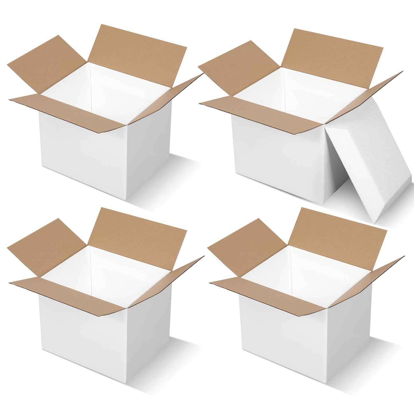 Feifeiya 4 Pack Insulated Shipping Cooler with Foam Panels 11" x 9" x 9" Reusable Shipping Box for Frozen Food Mailing Packing