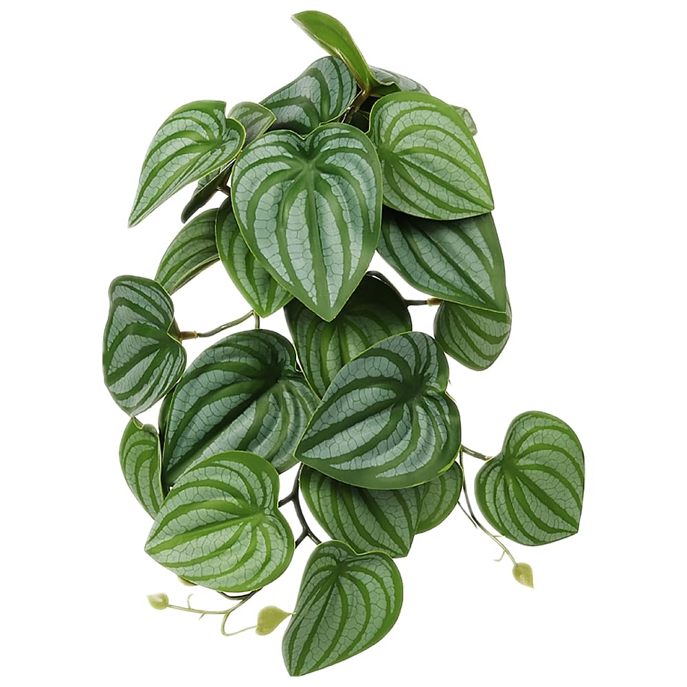 WOLEDOE Reptile Plants for Terrarium, Amphibian Habitat Decor Artificial Hanging Plants with Suction Cup - Fake Calathea Orbifolia
