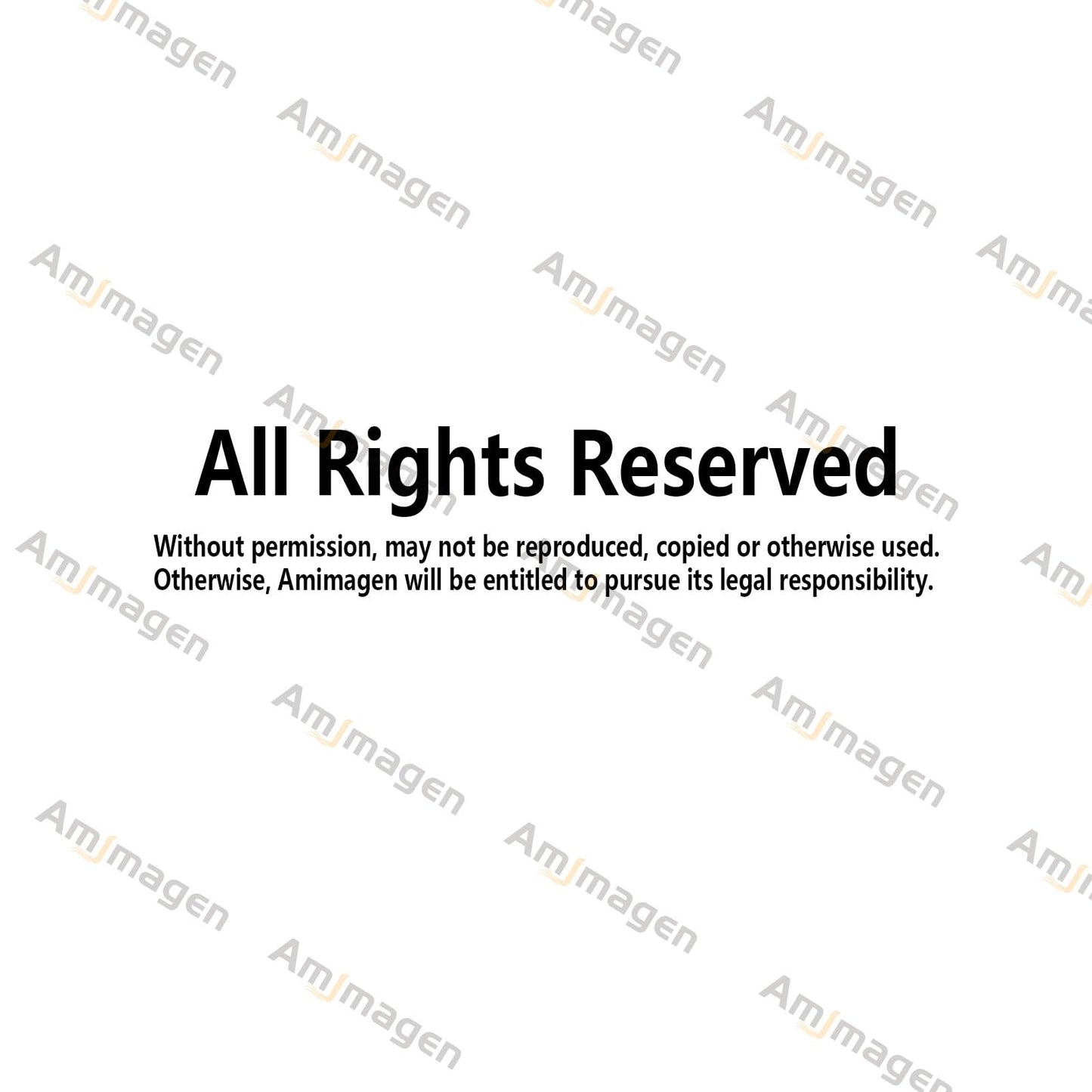 Amimagen Kids Equality Classroom Wall Stickers - Inspirational Positive Quotes Book Wall Decals - Baby Kids Room Daycare Playroom School Library Reading Wall Decor