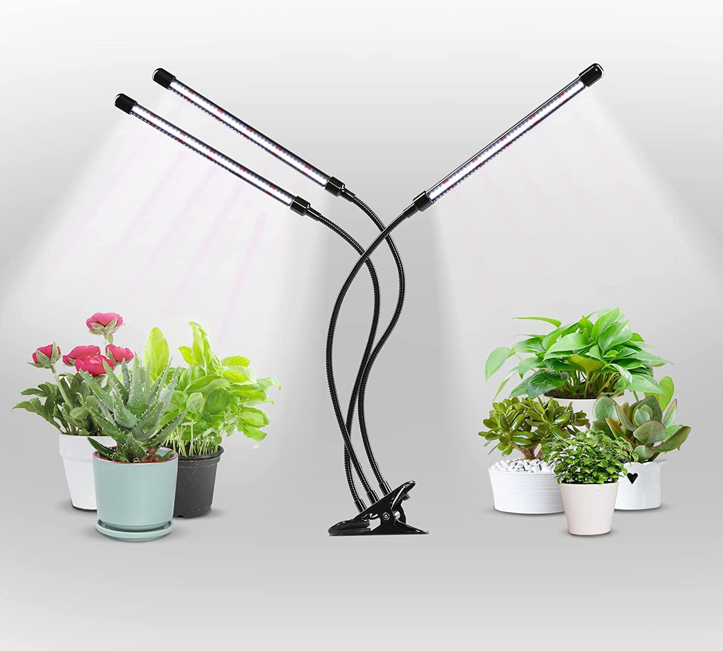 iPower LED Grow Light, 6000K Full Spectrum Clip Plant Growing Lamp with 126 White Red LEDs for Indoor Plants, 5-Level Dimmable, Auto On Off with 4/8/12H Timer