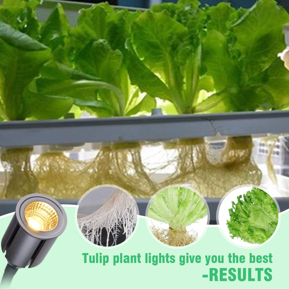 Bozily Clip-on LED Grow Lights for Indoor Plants Full Spectrum, Sunlight Growing Lamp with 3/6/12/24H Timer,5 Dimming 75W COB Sunlike House Plant Grow Light,Heat Lamp for Indoor Plants Seedling