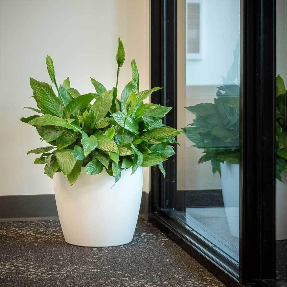 Greenline Manufacturing Memphis 18" Round Indoor Floor Planter Pot – Lightweight & Durable Plastic, Modern Design, Made in USA, Recyclable Large Plant Container for Home & Office Décor (Black)