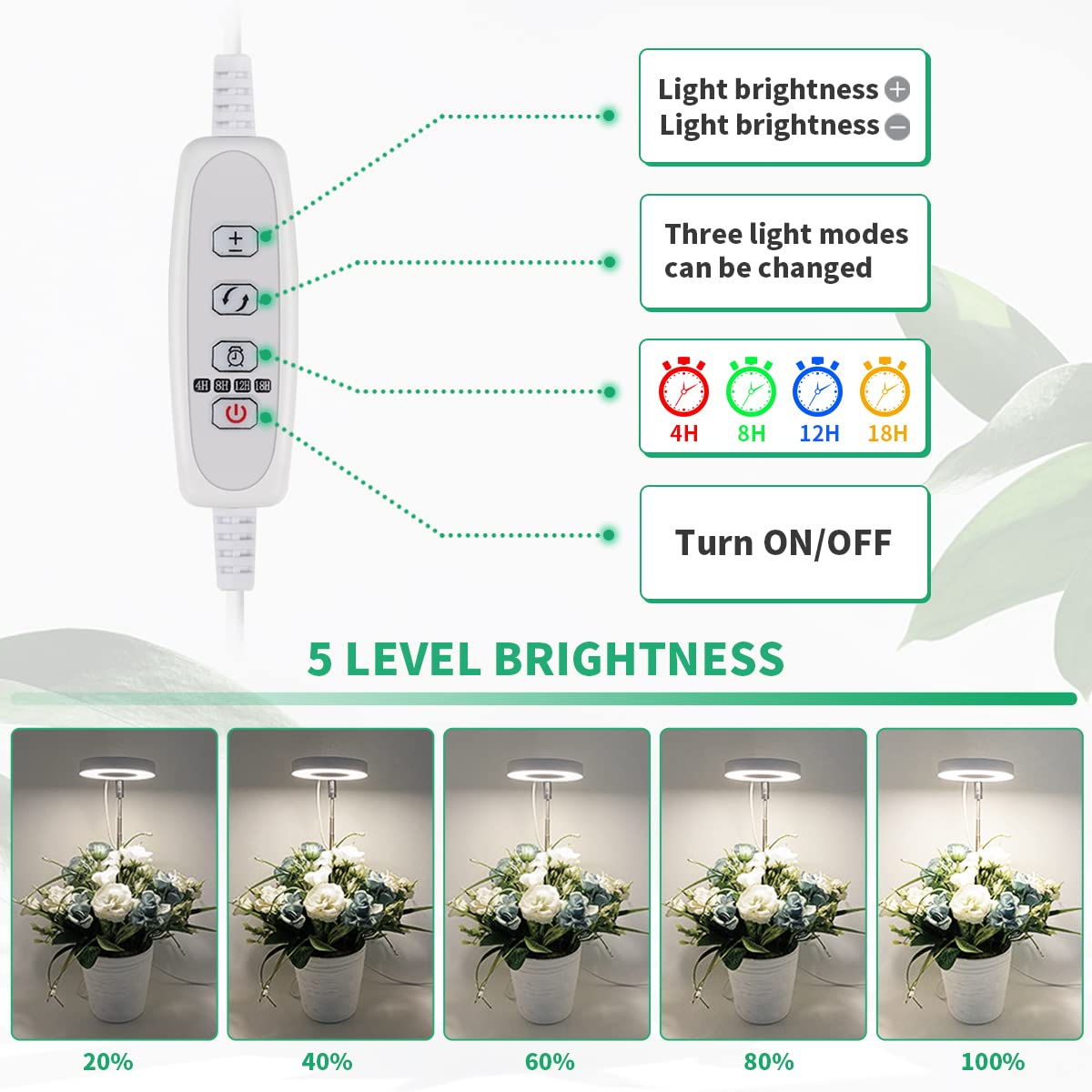 GYTF 2 Pack Halo Plant Grow Light, 6000K White LED Full Spectrum Growing Lamp for Indoor Plants, Succulents, Mini Bonsai, Small Plants, Height Adjustable, Dimmable & Timer 4/8/12/18Hrs
