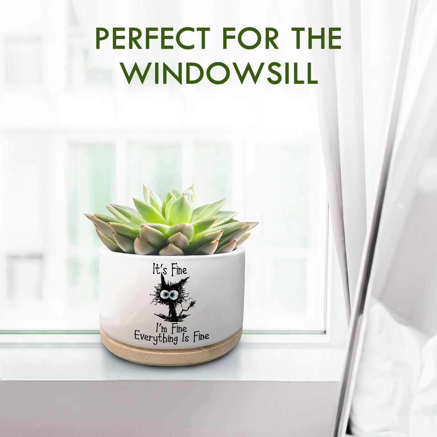 Jutasty Funny Cat Plant Pot for Succulent, Cactus Flower Planter for Indoor Plants, Cute Succulents Pots with Inspirational Quote, Windowsill Decor Planter Gift for Cats Owner Cat Lover (No Plants)