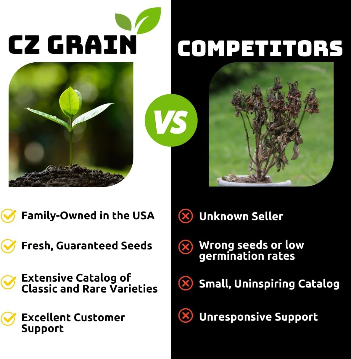 2 Red Maple Tree Plants for Growing | Live Tree Seedlings Ready to Plant
