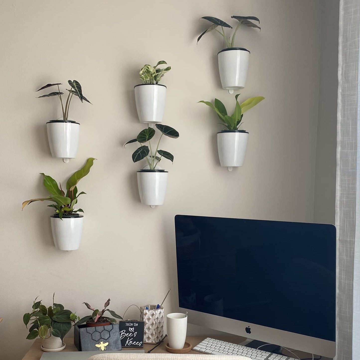 DEELF OUTLET 5 Packs 7.3”Wall Hanging Self Watering Planters Large Wall Mounted Plastic Plant Pots Wick Flower Pots for Indoor and Outdoor Wall Mounted Planters African Violet Pot Orchid Pots
