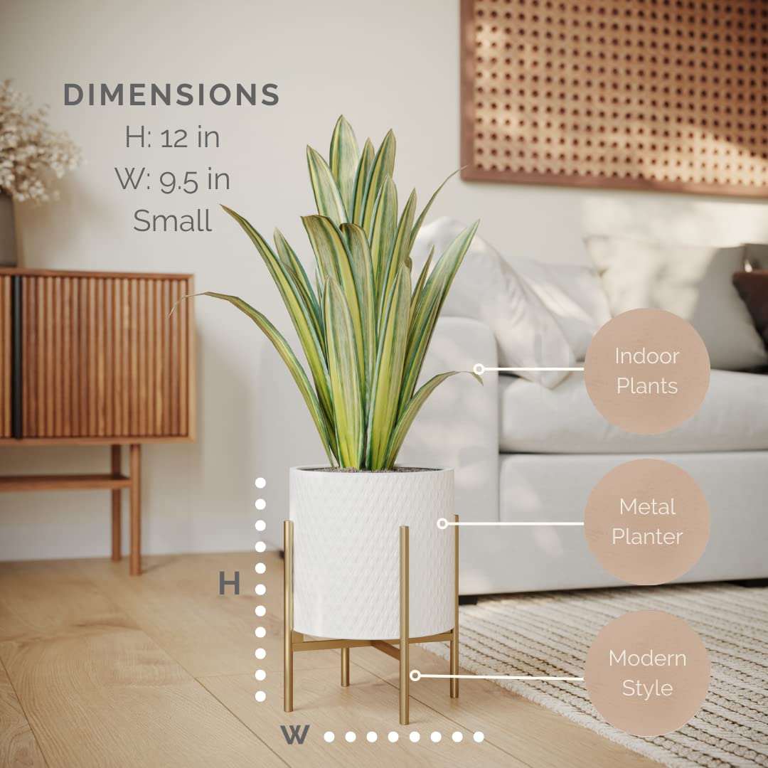 EverNest Claire Mid-Century Modern White Planter and Stand, Indoor Plant Pot, SelectBase, Minimalist Aesthetic, Home Decor for Plants - (Gold Base, Small)