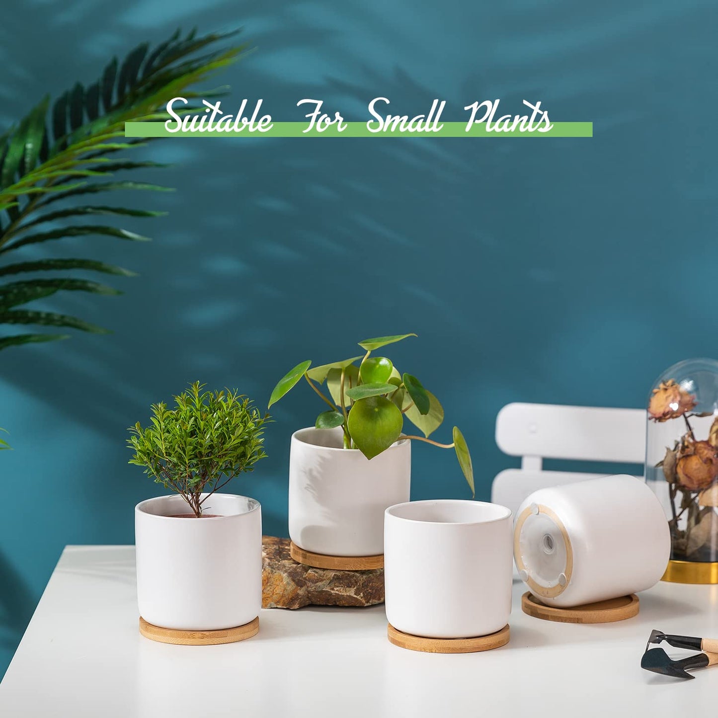 TAMAYKIM 4 Inch White Ceramic Plant Pots with Drainage Holes, Adorable Flower Planter Pot with Tray for Indoor Succulent Plants, Snake Plants, Cactus & Herbs, Set of 4 (Plant Not Included)